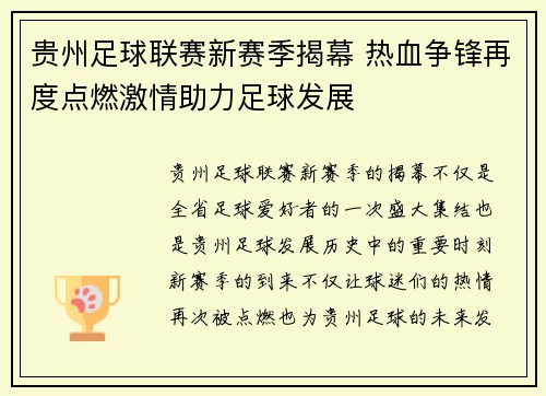 贵州足球联赛新赛季揭幕 热血争锋再度点燃激情助力足球发展